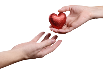 Male and female hands sharing a red love heart, cut out