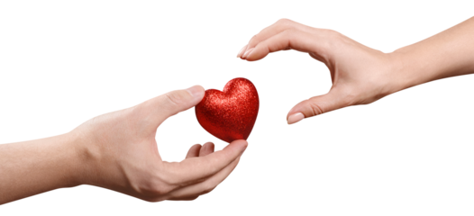 Male and female hands sharing a red love heart, cut out