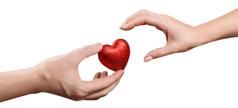 Male and female hands sharing a red love heart, cut out