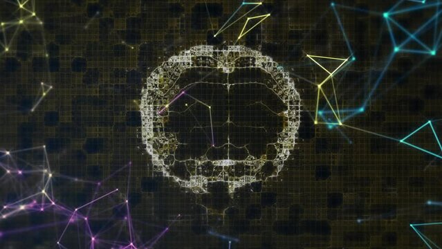 Animation of network of connections over human brain