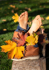 bare feet of a child next to a bouquet of autumn leaves in brown shoes on a warm sunny day in autumn. joy, positive atmosphere, happy childhood. Active lifestyle, walking