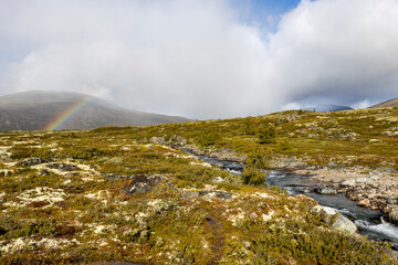 Wanderung im Dovrefjell Nationalpark, Norwegen 10