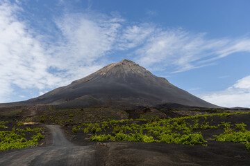 Pico do Fogo (2829m) with lush plants on an ash field