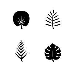 Tropical floral leaves glyph icon