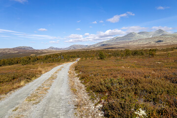 Fototapeta na wymiar Wanderung Storulfossen - Rondane Nationalpark Norwegen 24