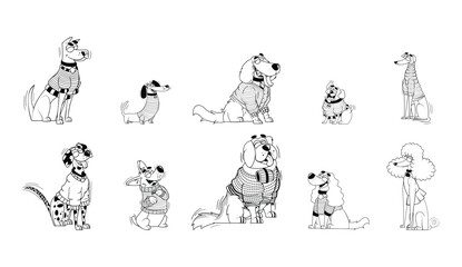 Set Vector Cartoon Dogs With Sweater Character isolated illustration