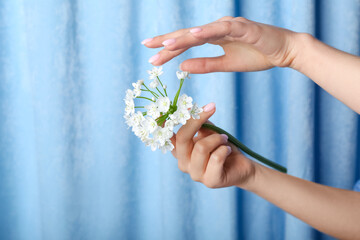 Woman with white flowers against blue fabric background. Hand care concept