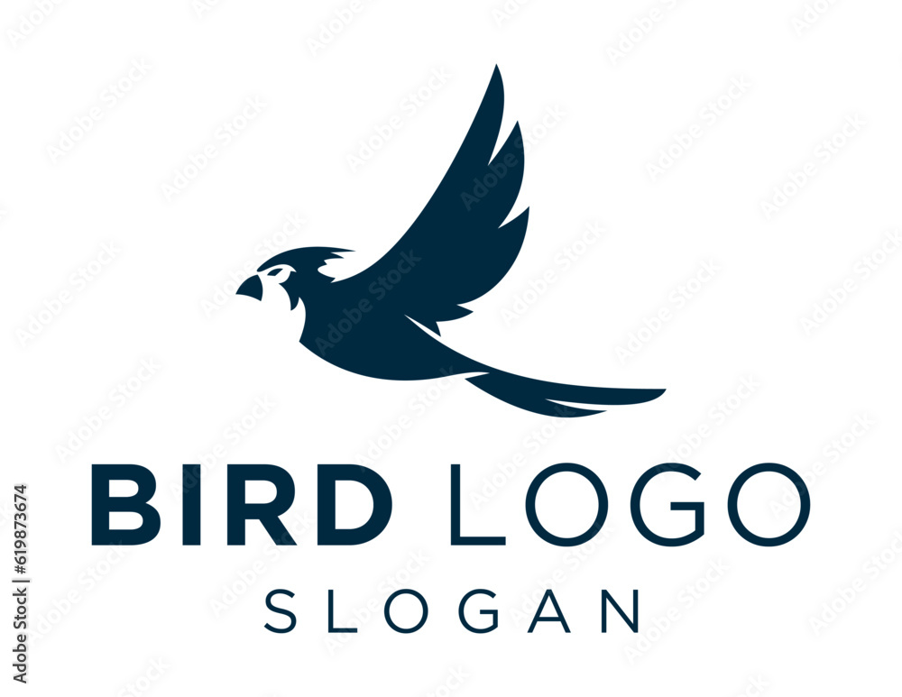 Poster logo about bird on a white background. created using the coreldraw application.