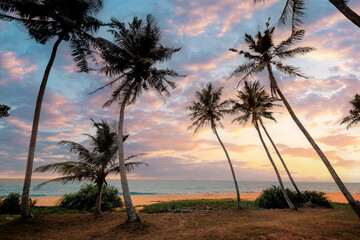 Gorgeous sky with clouds over the coconut palms on the tropical beach.