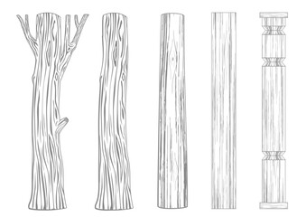 Set of wooden pillars columns tree trunk