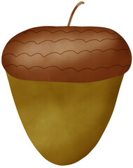 acorn