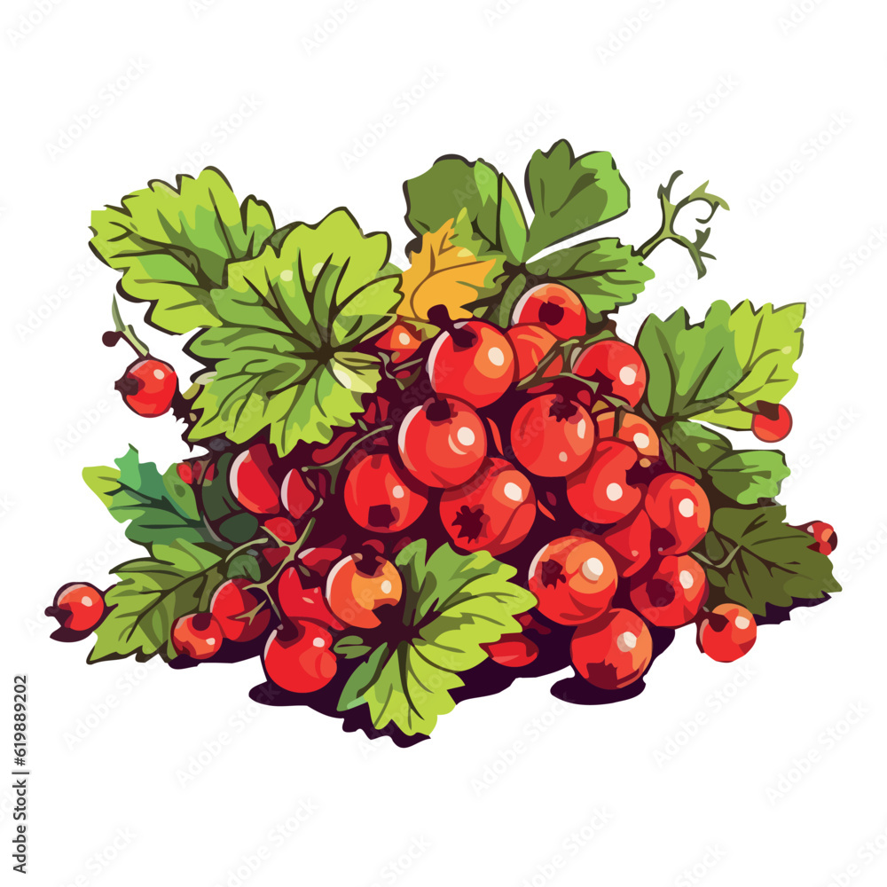 Canvas Prints ripe berry bunch, fresh from nature plant