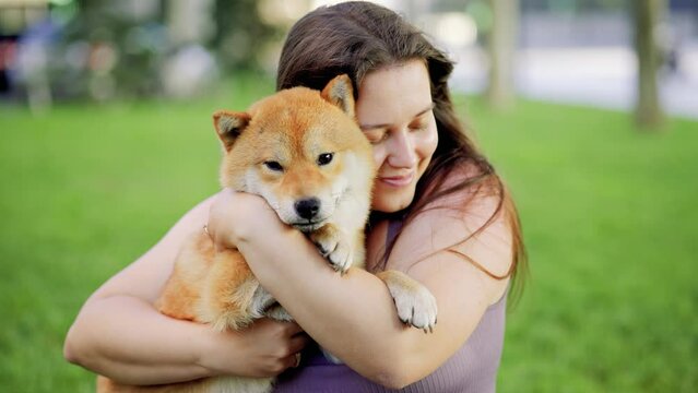 Portrait of adorable, happy dog of the Simba breed in the park on the green grass at sunset. The girl hugs and strokes her beloved pet.