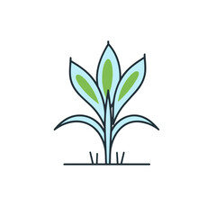 Premium Aloe Vera Logo Vector Design for Health and Beauty Brands