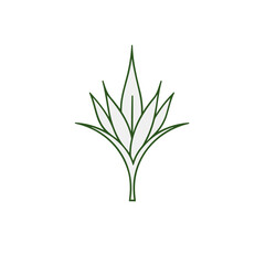 Fototapeta na wymiar Premium Aloe Vera Logo Vector Design for Health and Beauty Brands