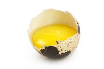 Raw quail egg isolated on white background with full depth of field