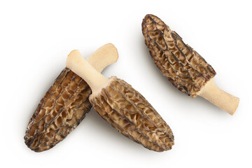raw morel mushroom isolated on white background with full depth of field. Top view. Flat lay.