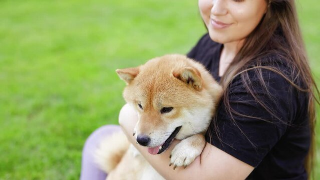 Portrait of adorable, happy dog of the Simba breed in the park on the green grass at sunset. The girl hugs and strokes her beloved pet.