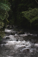 Mountain river in the jungle of Bali.