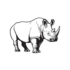 Fototapeta premium African savannah standing rhinoceros isolated in cartoon style. Educational zoology illustration, coloring book picture. Logo, icon style. Black and white