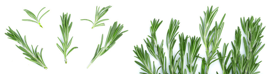 Fresh green rosemary isolated on a white background. Top view. Flat lay