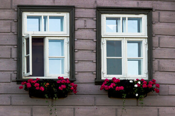 Fototapeta na wymiar windows with white woodenframes, in an old house, pink flowers in boxes under the windows