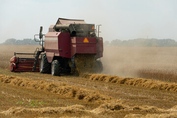 Fototapeta premium A combine harvester is working in a wheat field. Seasonal wheat harvest. Agricultural industry. Cleaning and harvesting of silage. The process of harvesting from the fields. equipment in the field.