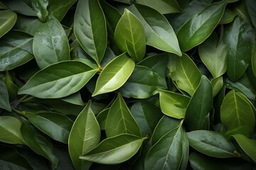 Bay leaves as background and texture. Generative AI