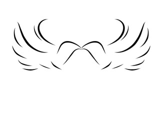 Doodle Angel Wings