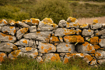 Muro de piedra con liquen