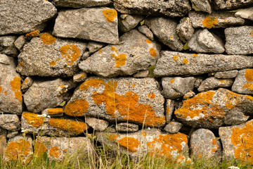 Muro de piedra con liquen