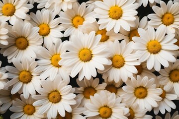 Fototapeta premium Daisies as background. Generative AI.