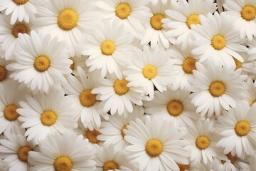 Obraz premium Daisies as background and texture. Generative AI.