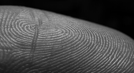 macro fingerprint