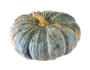 pumpkin transparent png