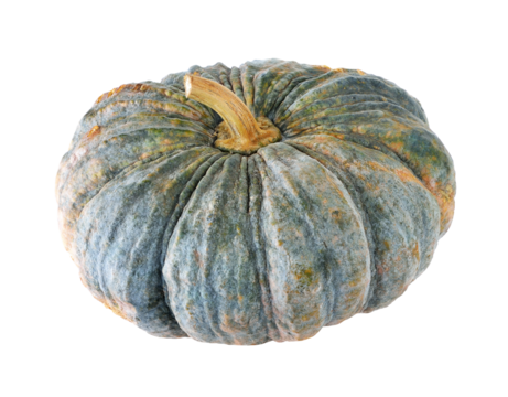 pumpkin transparent png
