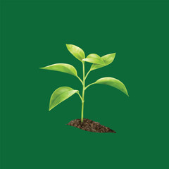 landscape with tree.landscape with trees.landscape with tree.landscape with trees.Collection Realistic Trees Isolated on White Background.