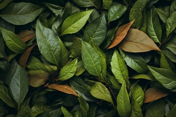 Tea leaves as background. Generative AI.