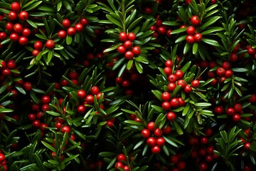 Obraz premium Yew berries as texture. Generative AI.