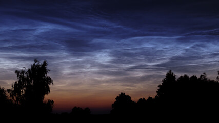 silvery clouds in the early summer morning