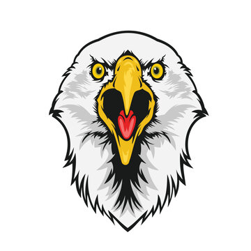 eagle head vector art illustration angry eagle design