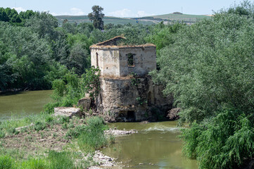 Fototapeta premium Watermill of the Roman bridge of the Mosque of Cordoba, Spain