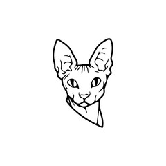 vector illustration of cat head concept