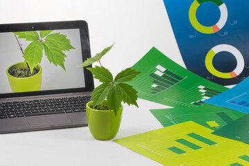 Mała roślina w doniczce obok komputera z rośliną na ekranie wśród zielonych i niebieskich plansz z wykresami. - obrazy, fototapety, plakaty