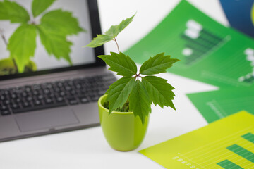 Mała roślina w doniczce obok komputera z rośliną na ekranie wśród zielonych plansz z wykresami. - obrazy, fototapety, plakaty