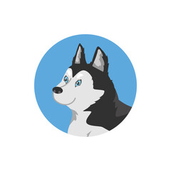 Vector isolated illustration of cartoon domestic husky dog with blue eyes, head in round blue frame, full face view