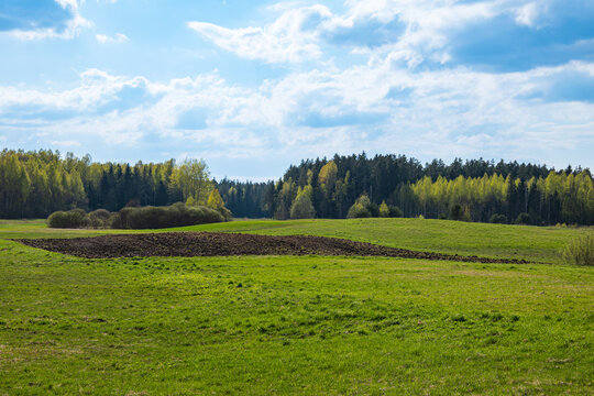 blue cloudy sky, green fields and trees of different shades in spring