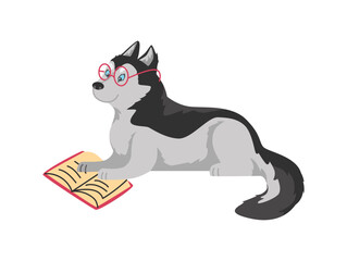 Funny husky dog in glasses reading book flat style, vector illustration © Kudryavtsev