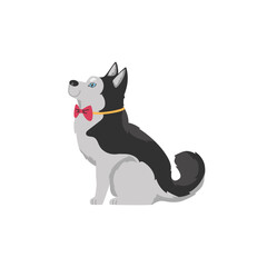 Cute siberian husky in bow tie, cartoon flat vector illustration isolated on white background.