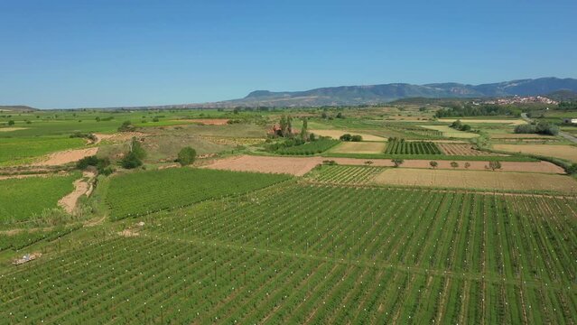 Flight Over Vineyards near Navarrete, Spain